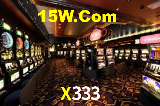 X333
