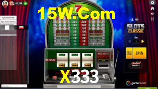 X333