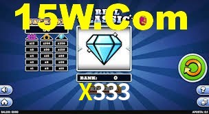 X333